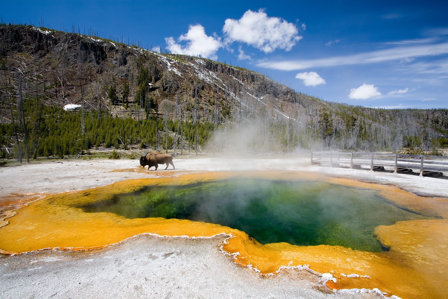 Highlights of your tour will include Yellowstone Lake, Old Faithful, Mammot...