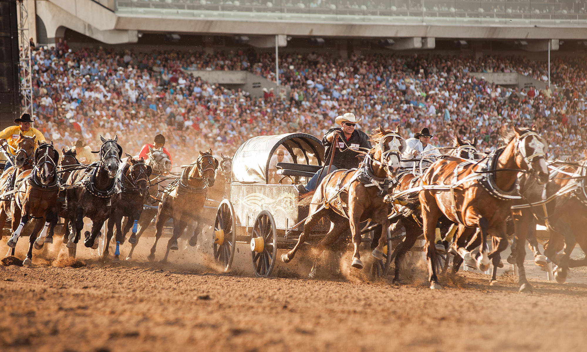 major travel plc calgary