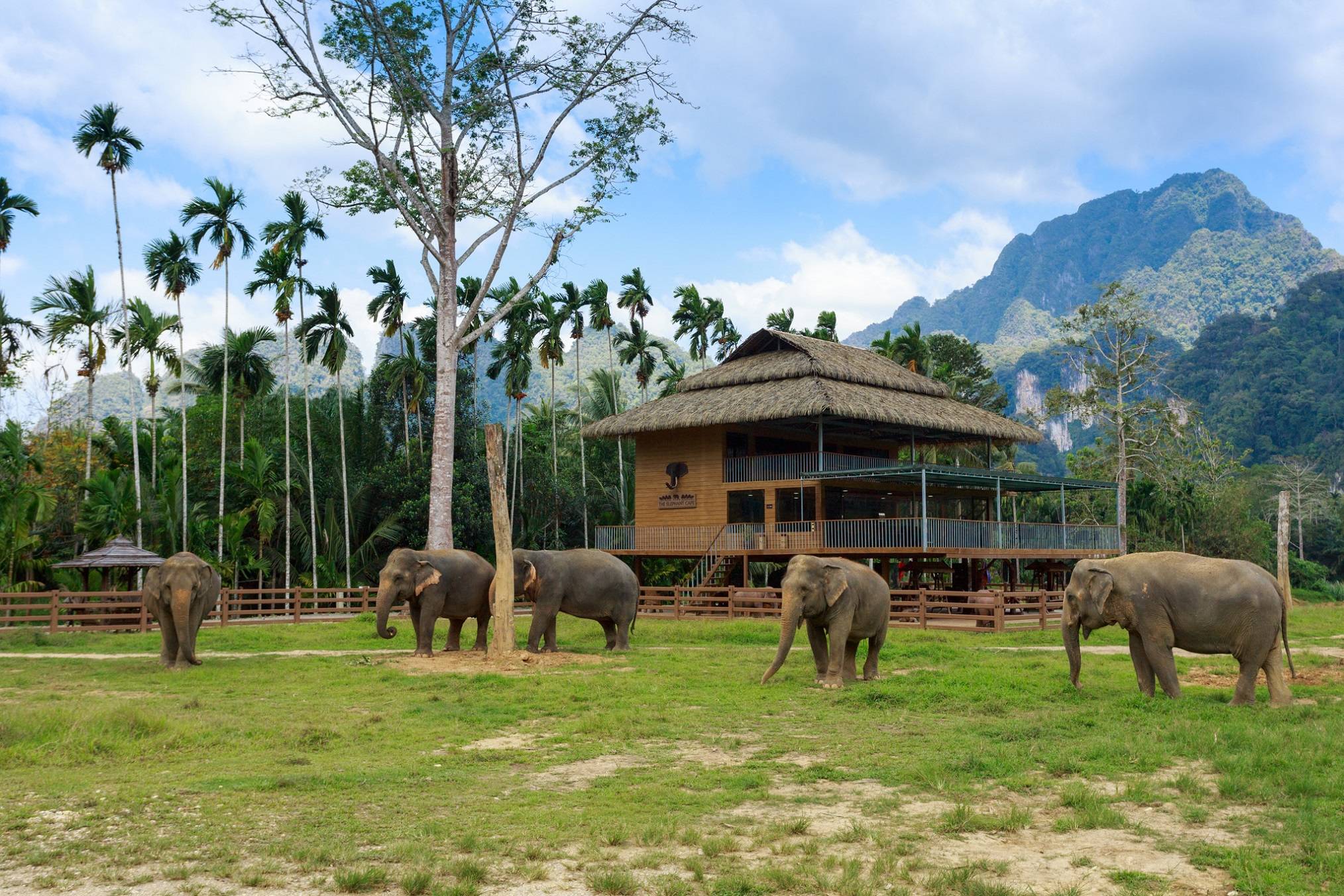 Major Travel Plc :: Valentine's Day! Beach Stay &amp; Elephant Hills Jungle