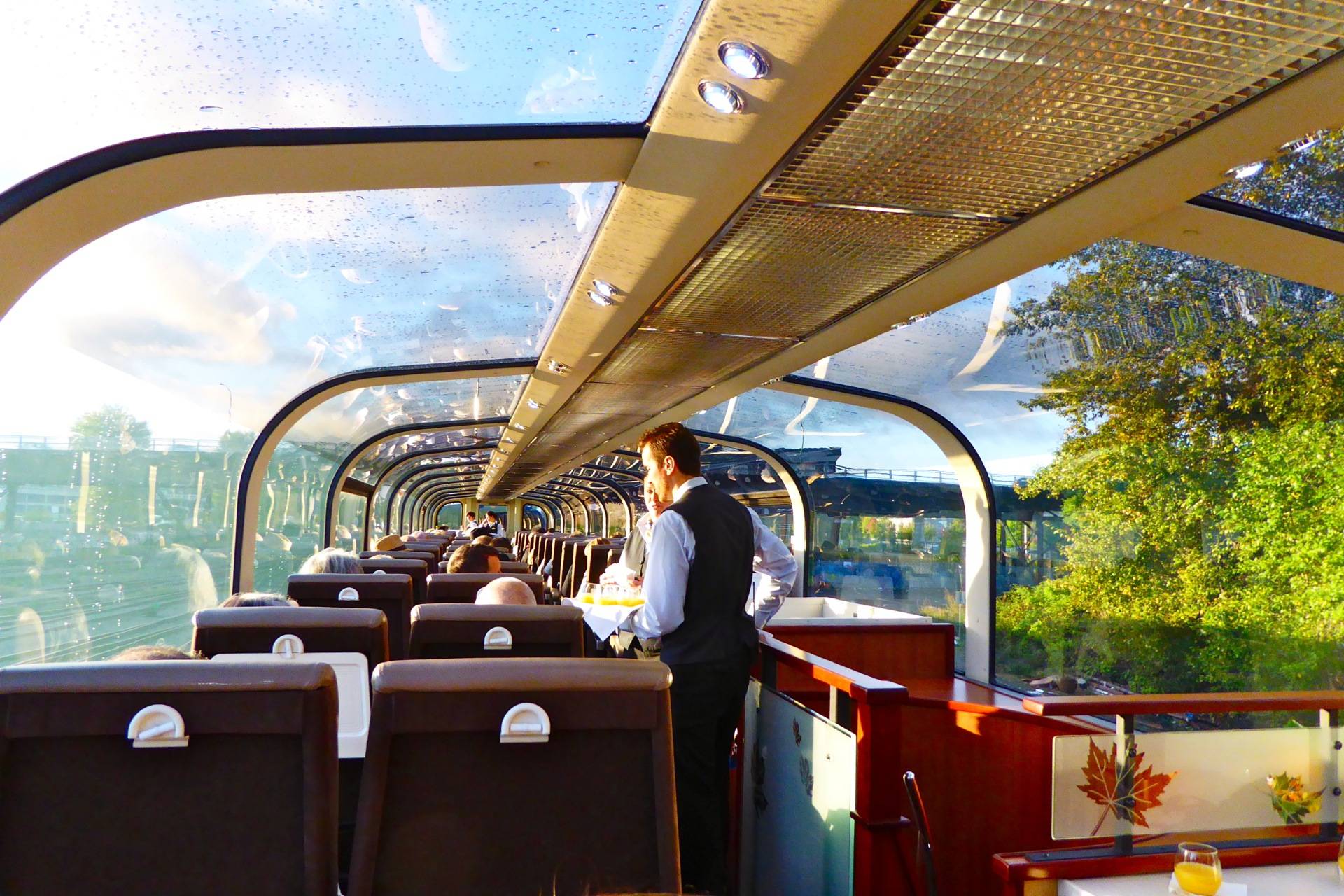 Поезд Rocky Mountaineer интерьер